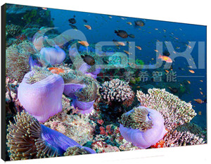 整個(gè)液晶拼接屏系統(tǒng)需要哪些外接設(shè)備呢？