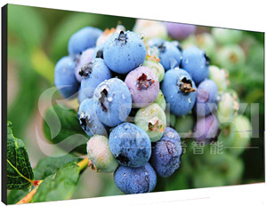 上海液晶拼接屏價(jià)格不斷壓低的原因有哪些呢？